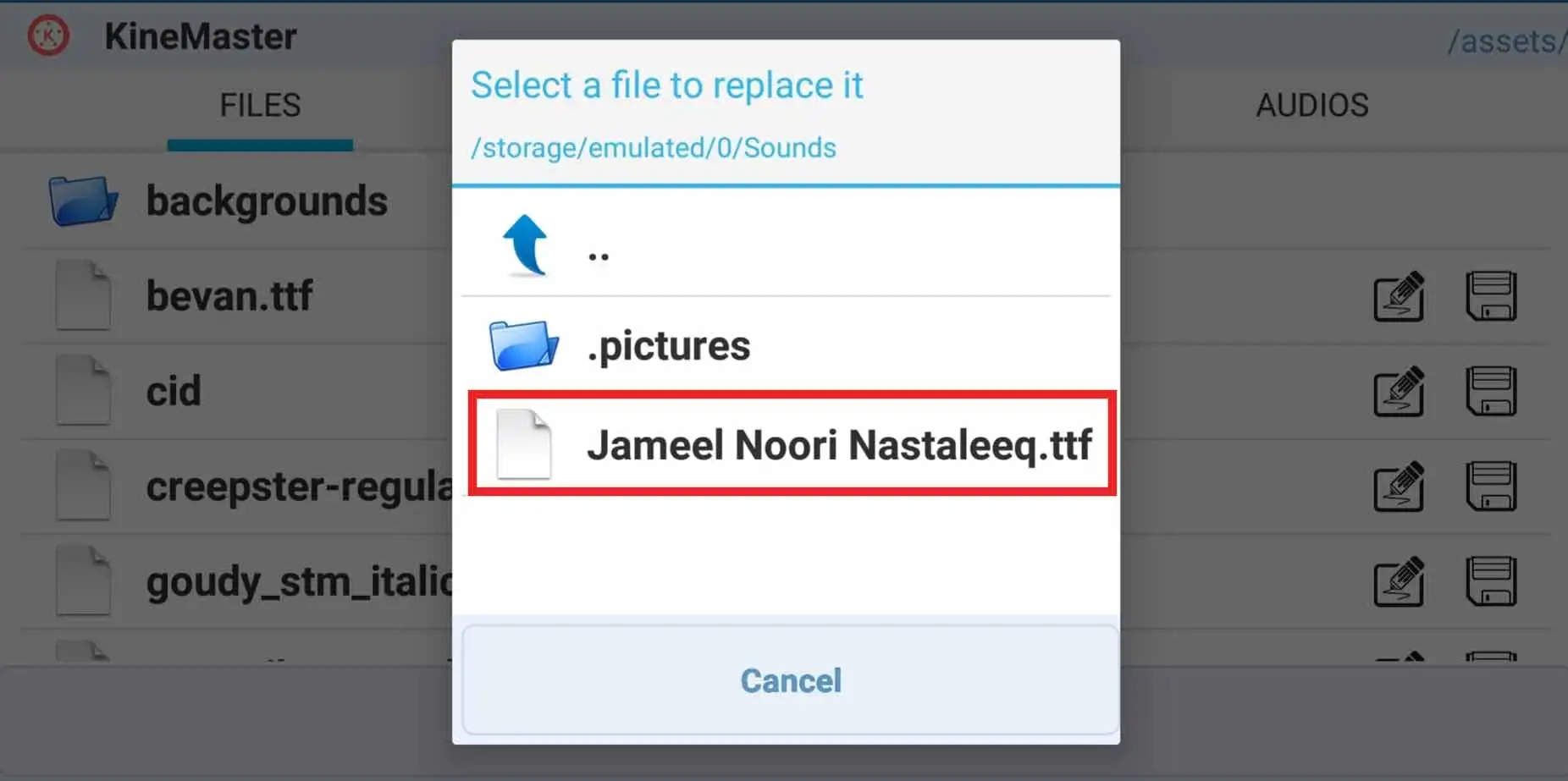adding custom jameel nori Nastaleeq font to kinemaster video app