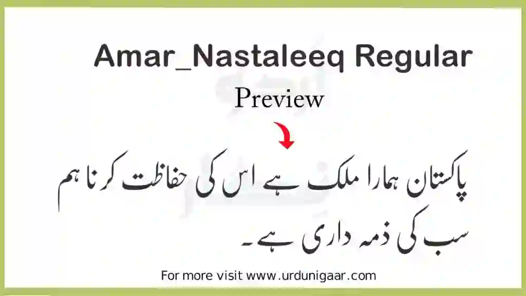 a preview image of Amar Nastaleeq Regular font for inshot