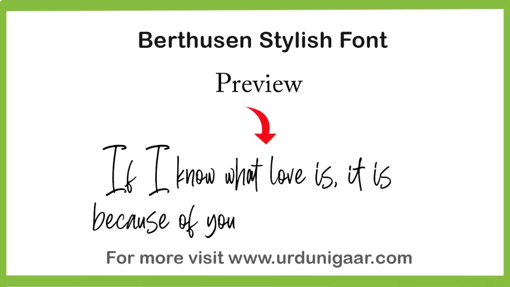 A thumbnail for Berthusen Stylish Font
